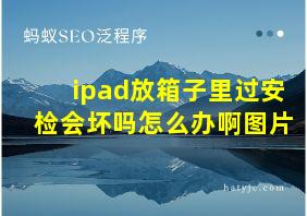 ipad放箱子里过安检会坏吗怎么办啊图片