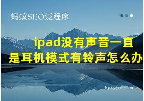 ipad没有声音一直是耳机模式有铃声怎么办