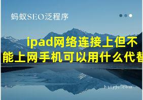 ipad网络连接上但不能上网手机可以用什么代替