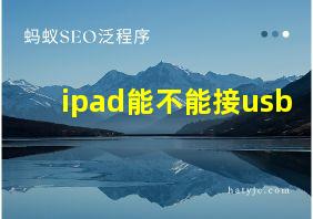 ipad能不能接usb