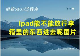 ipad能不能放行李箱里的东西进去呢图片