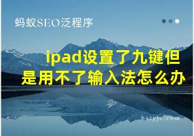 ipad设置了九键但是用不了输入法怎么办