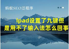 ipad设置了九键但是用不了输入法怎么回事