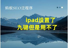 ipad设置了九键但是用不了