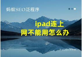 ipad连上网不能用怎么办