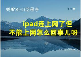 ipad连上网了但不能上网怎么回事儿呀