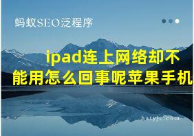 ipad连上网络却不能用怎么回事呢苹果手机