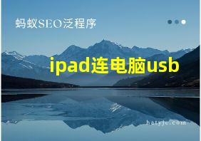 ipad连电脑usb