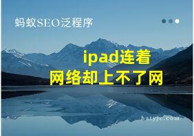 ipad连着网络却上不了网