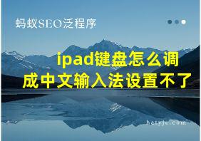 ipad键盘怎么调成中文输入法设置不了