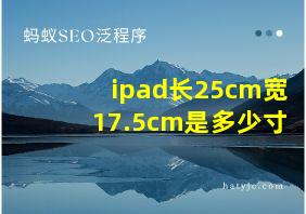 ipad长25cm宽17.5cm是多少寸