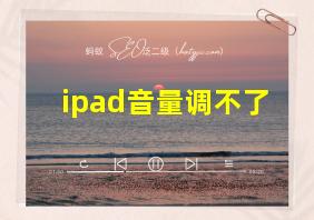 ipad音量调不了