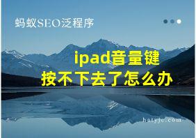 ipad音量键按不下去了怎么办