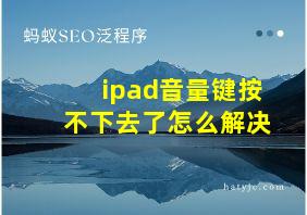 ipad音量键按不下去了怎么解决