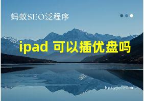 ipad 可以插优盘吗