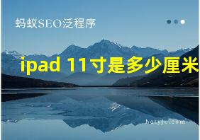 ipad 11寸是多少厘米