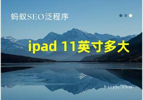 ipad 11英寸多大