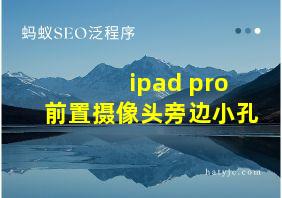 ipad pro前置摄像头旁边小孔