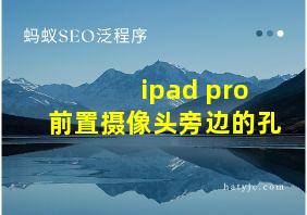 ipad pro前置摄像头旁边的孔