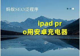 ipad pro用安卓充电器