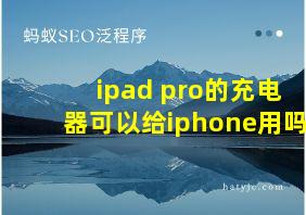 ipad pro的充电器可以给iphone用吗