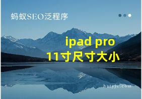 ipad pro 11寸尺寸大小