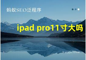 ipad pro11寸大吗