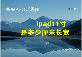 ipad11寸是多少厘米长宽