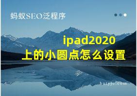 ipad2020上的小圆点怎么设置