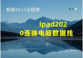 ipad2020连接电脑数据线