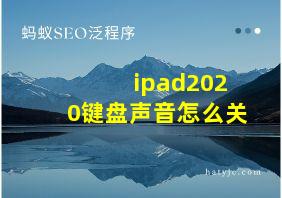 ipad2020键盘声音怎么关