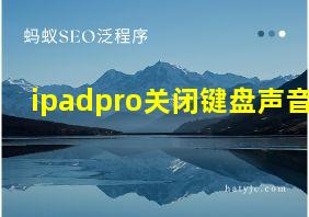 ipadpro关闭键盘声音