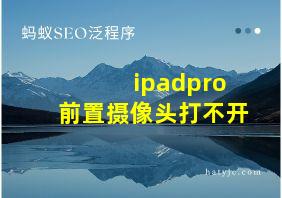 ipadpro前置摄像头打不开