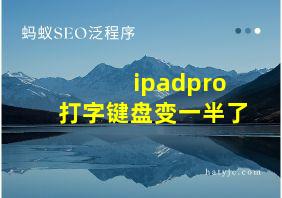 ipadpro打字键盘变一半了