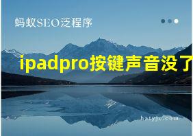 ipadpro按键声音没了