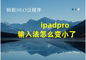 ipadpro输入法怎么变小了