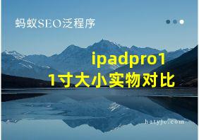 ipadpro11寸大小实物对比