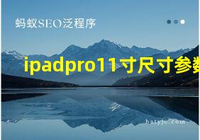 ipadpro11寸尺寸参数