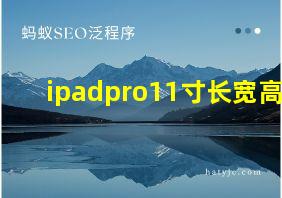 ipadpro11寸长宽高