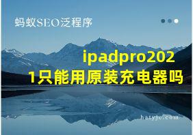 ipadpro2021只能用原装充电器吗