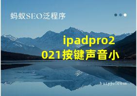 ipadpro2021按键声音小