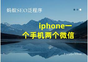 iphone一个手机两个微信