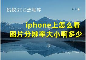 iphone上怎么看图片分辨率大小啊多少