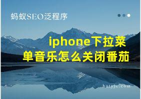 iphone下拉菜单音乐怎么关闭番茄