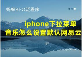 iphone下拉菜单音乐怎么设置默认网易云