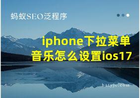 iphone下拉菜单音乐怎么设置ios17