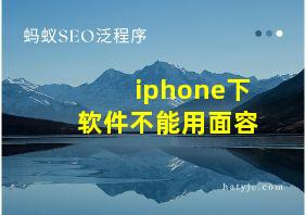 iphone下软件不能用面容