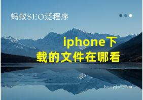 iphone下载的文件在哪看