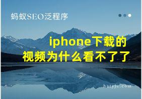 iphone下载的视频为什么看不了了