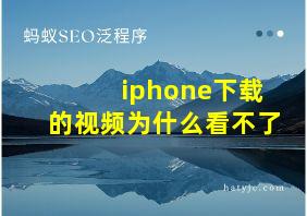 iphone下载的视频为什么看不了